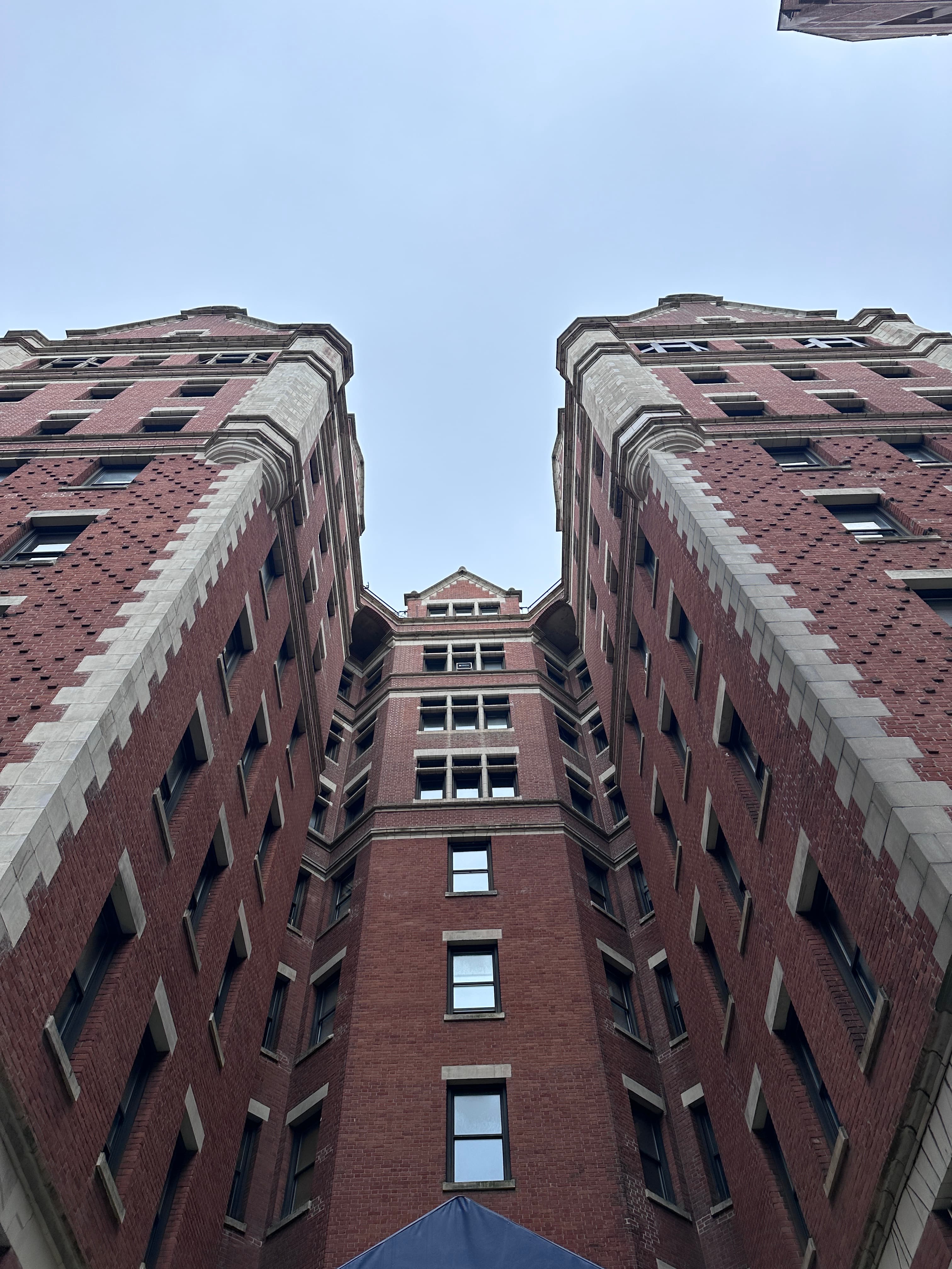 IMG 3989