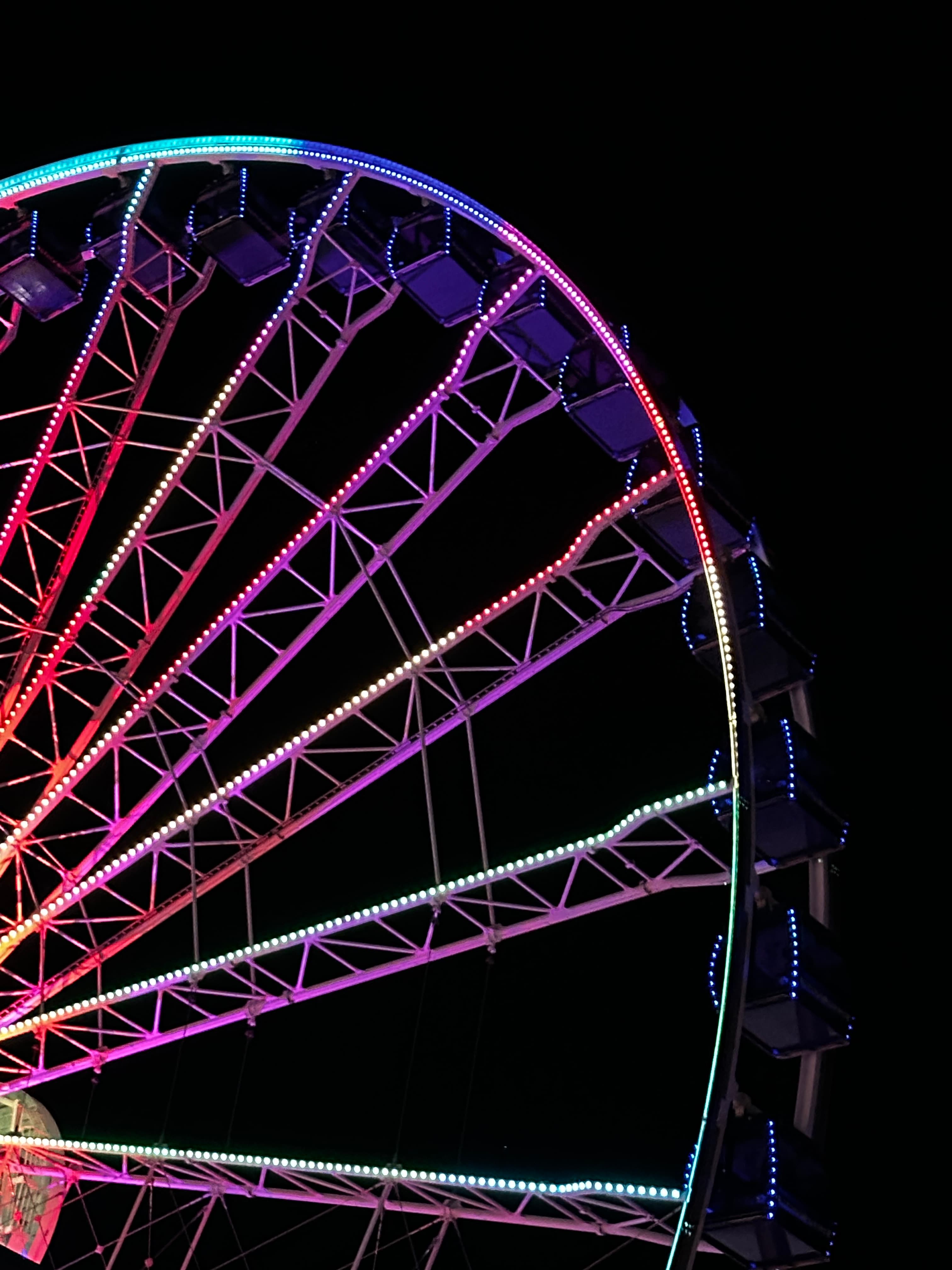IMG 7312