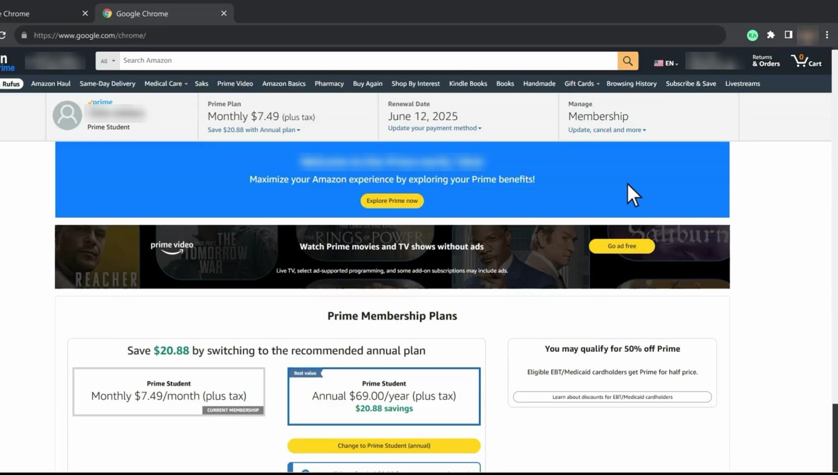 A subscription management page on a live site, before Raahi runs. Account holder's name and delivery details are blurred.